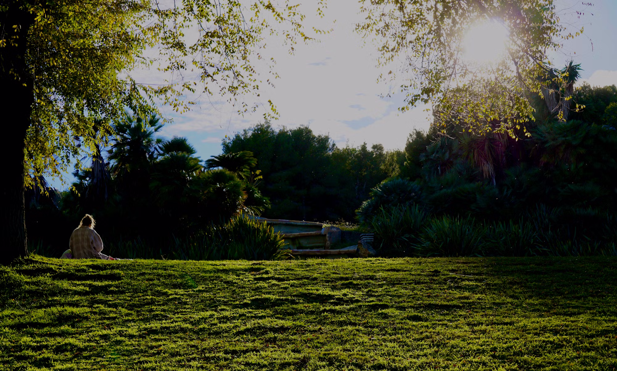 The Art of Mindful Living: Cultivating Presence in Everyday Life